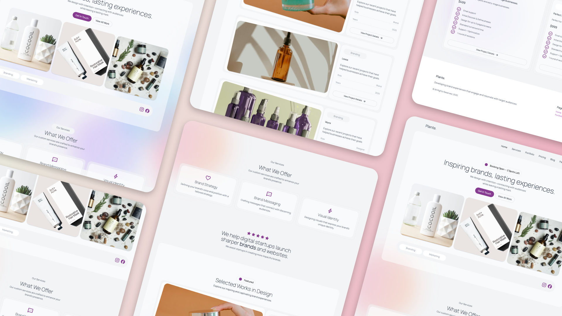 The Plante icon. A project for RapidWeaver Elements