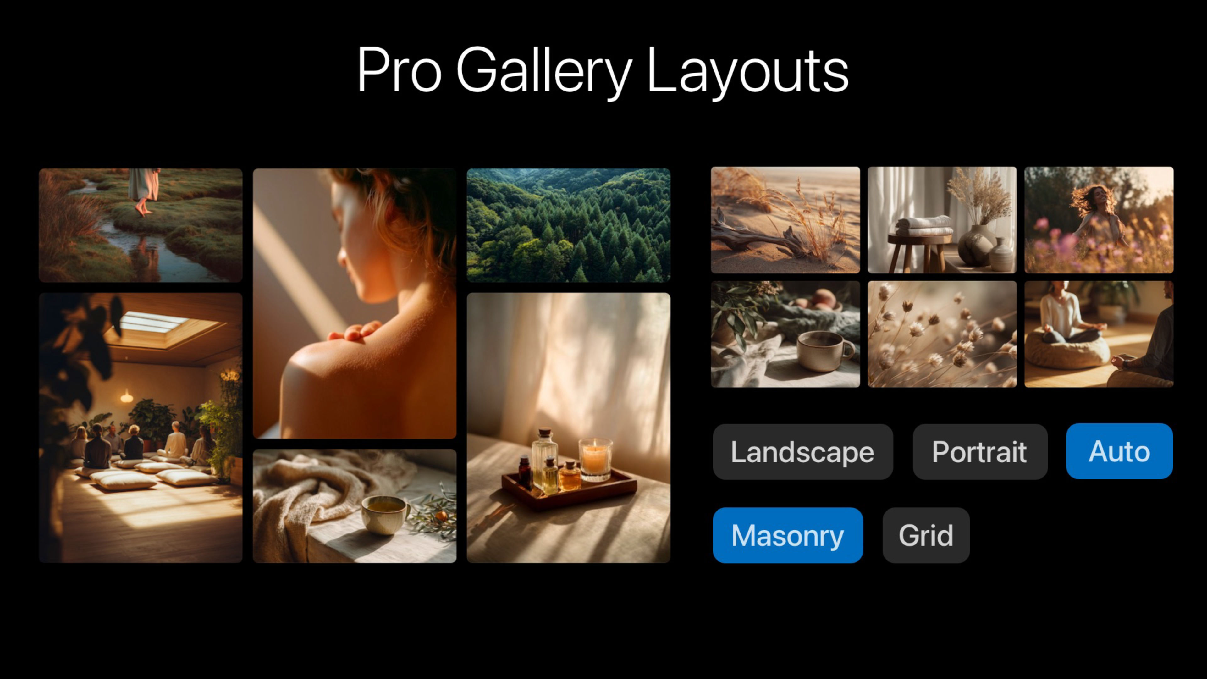 A screenshot of Gallery Pro. A component for RapidWeaver Elements