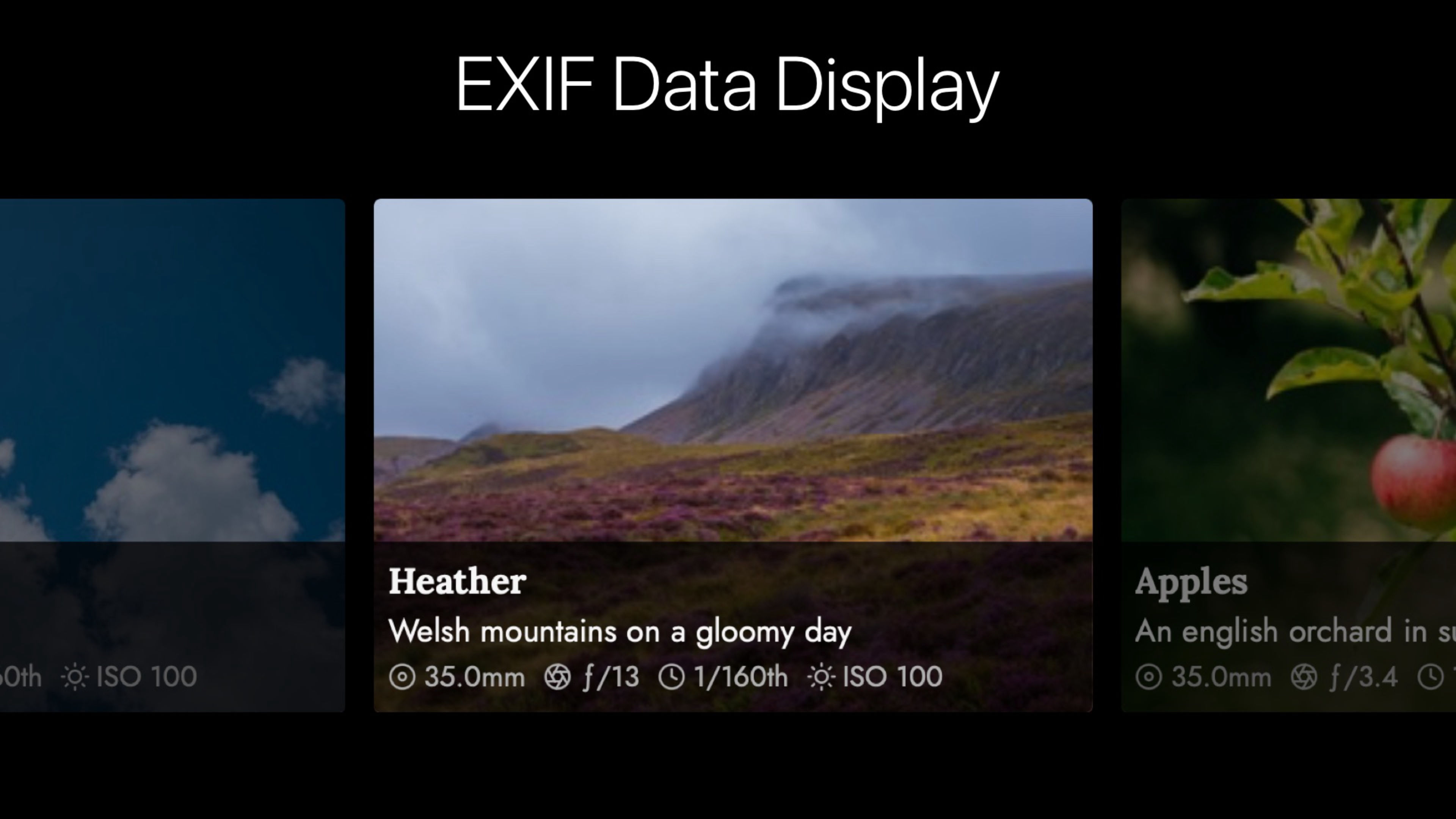 Screenshot thumbnail