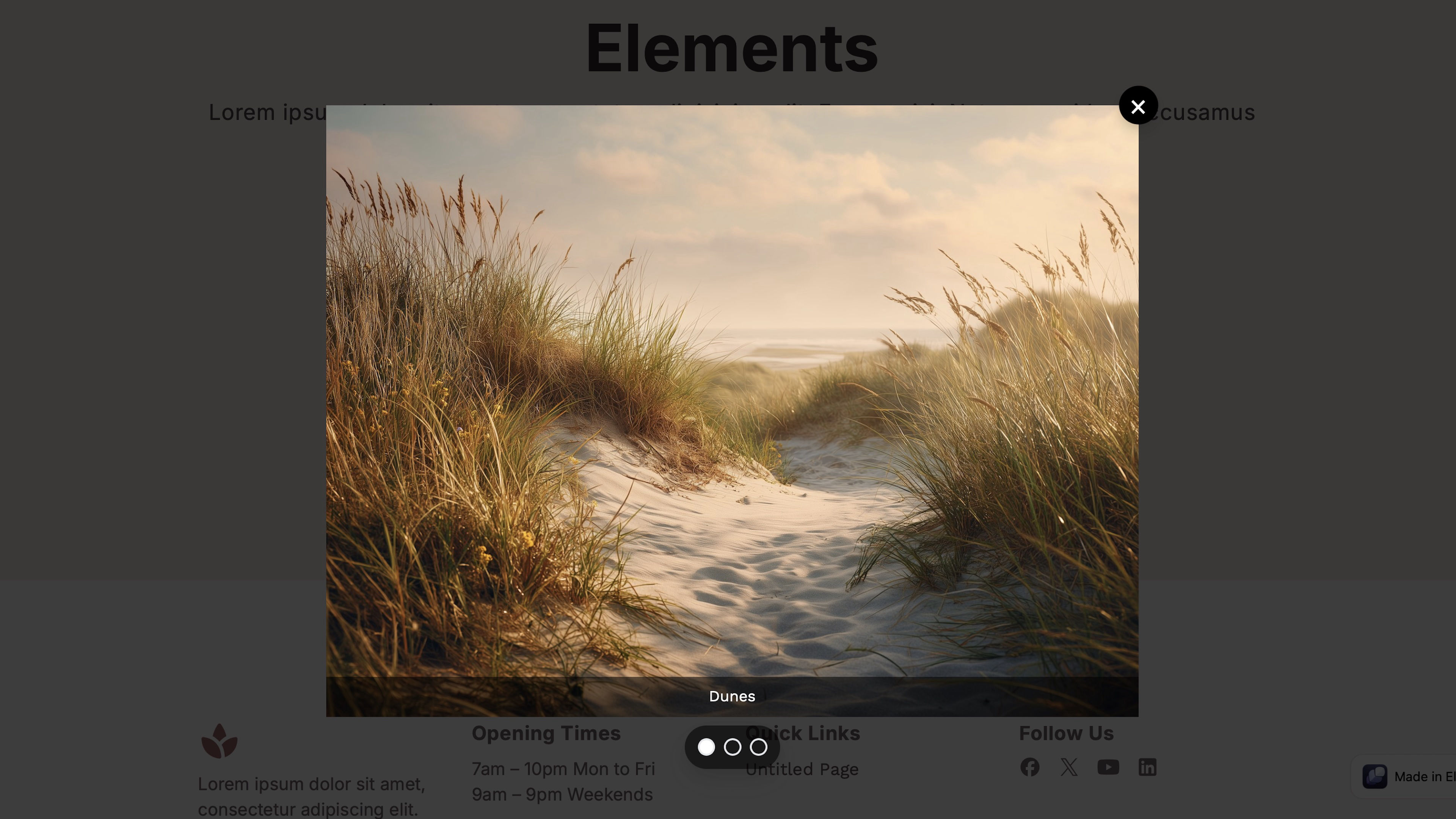 A screenshot of Image Lightbox Gallery. A component for RapidWeaver Elements