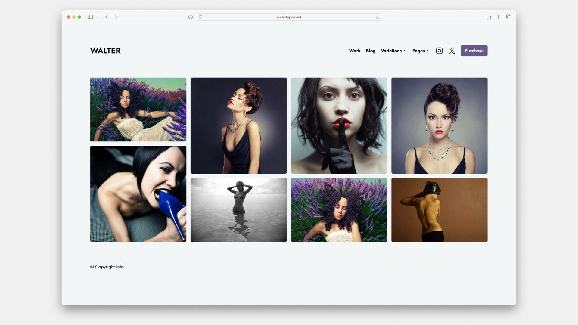 The Walter icon. A project for RapidWeaver Elements